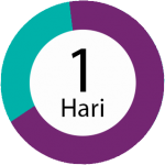 1day