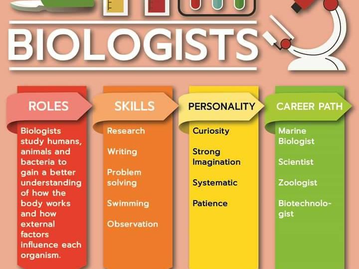 29216044_1015303455284891_2370093422154350592_n